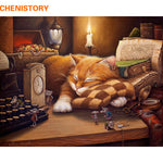 CHENISTORY Frameless Sleeping Cat DIY Painting By Numbers Wall Art Picture Home Decor Acrylic Paint By Numbers For Gift 40x50cm